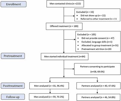 Changes in Violence and Clinical Distress Among Men in Individual Psychotherapy for Violence Against Their Female Partner: An Explorative Study